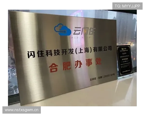 开云KYVIP直营平台助推品牌升级,创新会员服务体系,开启品牌发展新篇章 开云KYVIP直营平台助推品牌升级,创新会员服务体系,开启品牌发展新篇章